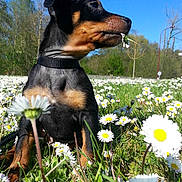 Jammeuse participe au concours pour gagner de l'argent avec cette photo :