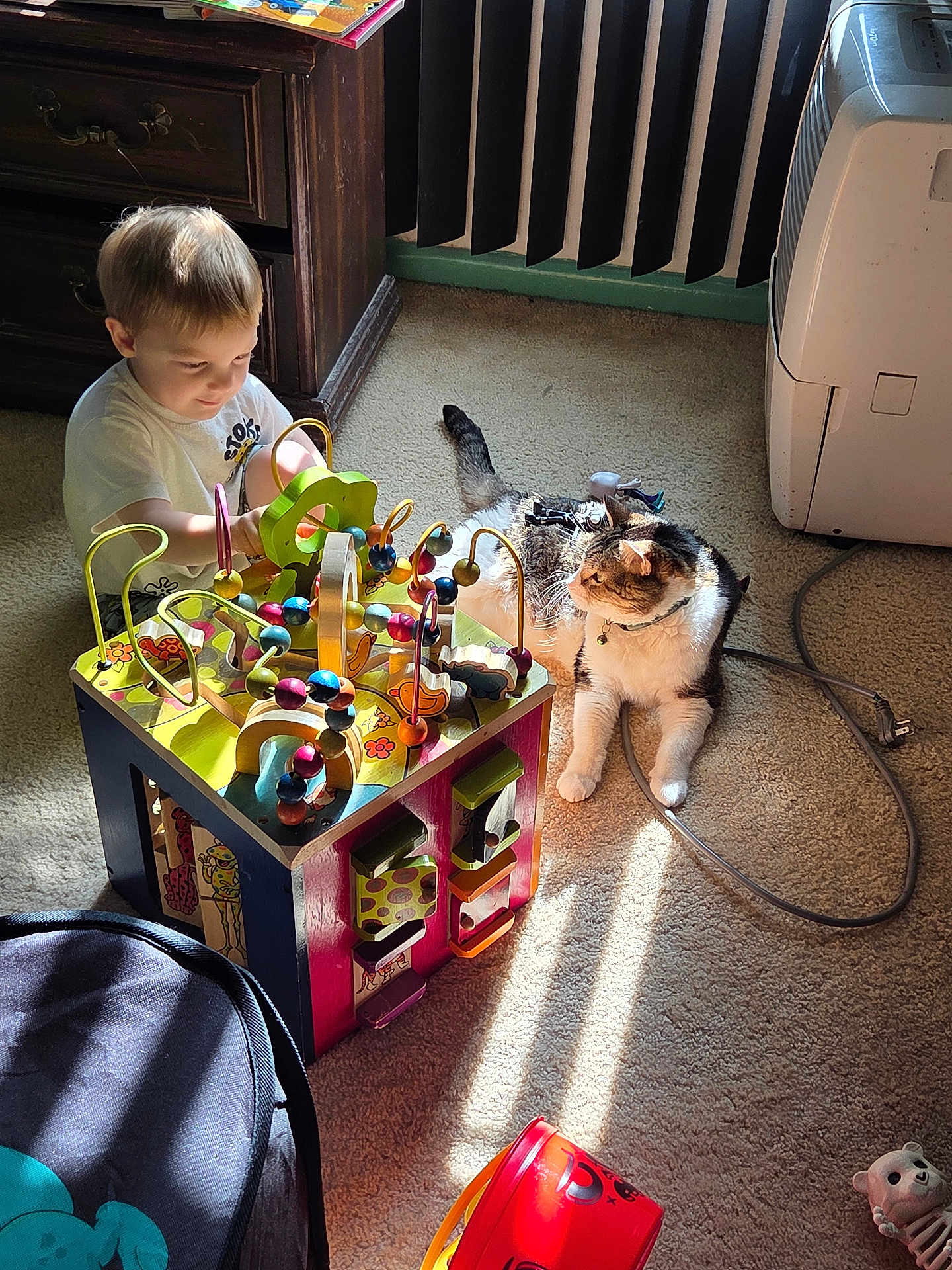 Pretty Boy is registered to the contest to win money with this photo: toddler, child, cat, toy, wooden_toy, activity_cube, carpet, sunlight, indoor, furniture, cabinet, play, pet, animal, cord, relaxation, floor, curiosity, daylight, cute