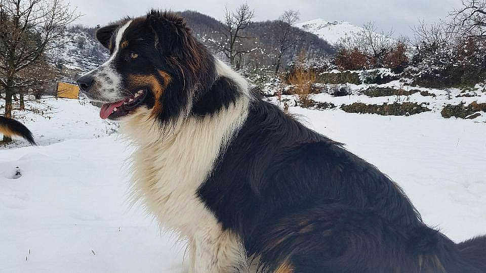 Jack