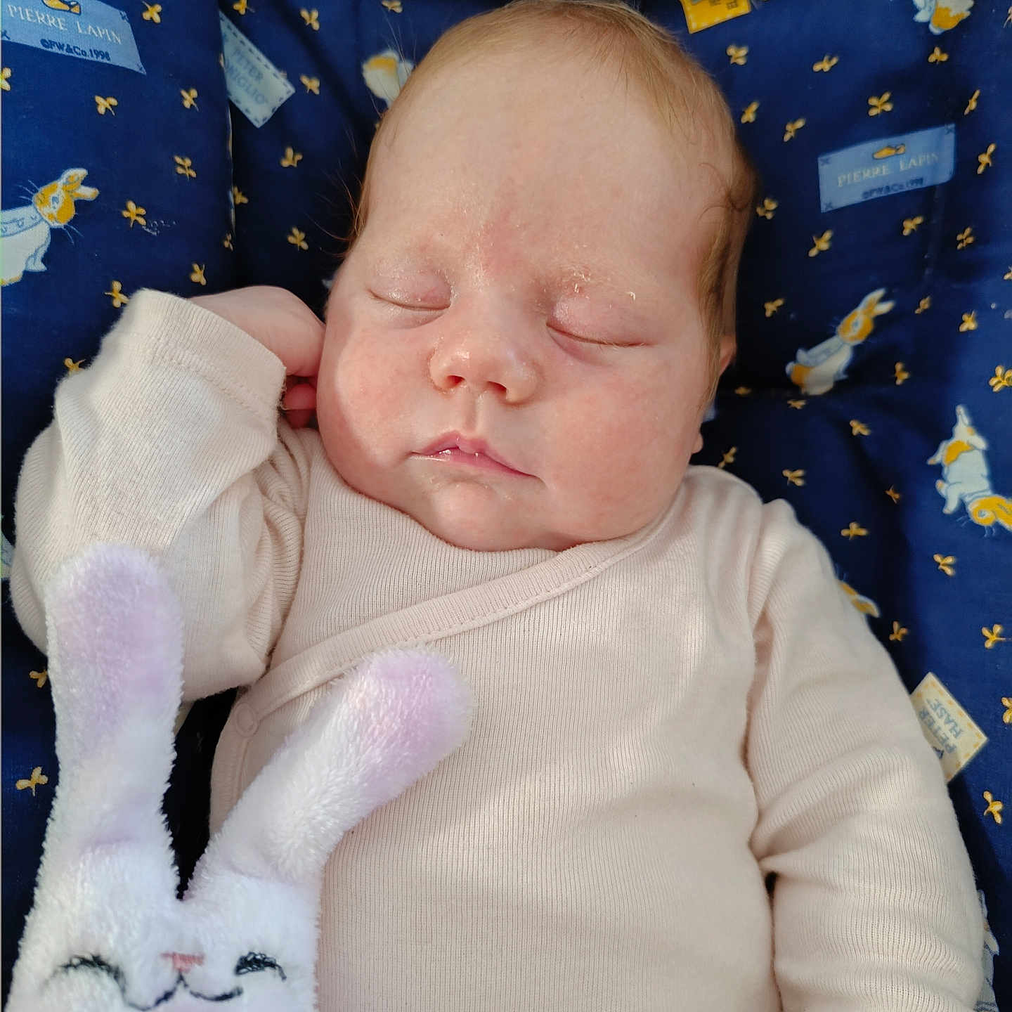 Isaé a rejoint le concours — aidez-le/la à gagner de superbes lots ! baby, beige_clothing, blue, bunny, child, comfort, cushion, cute, face, hand, indoors, infant, pattern, peaceful, plush_toy, portrait, resting, sleeping, soft_toy, toy