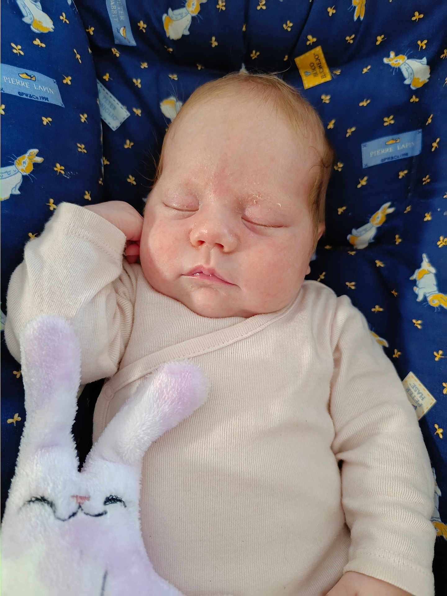 Isaé a rejoint le concours — aidez-le/la à gagner de superbes lots ! baby, sleeping, infant, plush_toy, bunny, soft_toy, cushion, pattern, blue, beige_clothing, face, hand, child, resting, cute, indoors, comfort, peaceful, portrait, toy