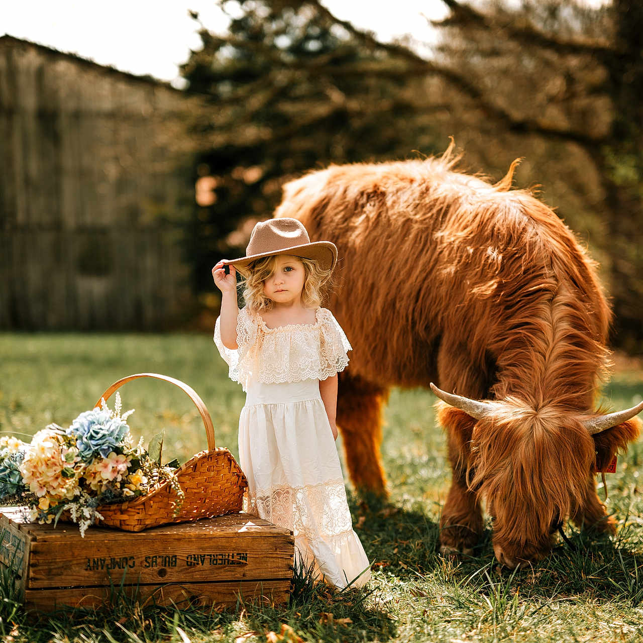 Magnolia joined the competition — help win amazing prizes! child, clothing, dress, face, female, field, flower, flowerarrangement, flowerbouquet, girl, grass, grassland, hat, head, nature, outdoors, person, photography, plant, portrait