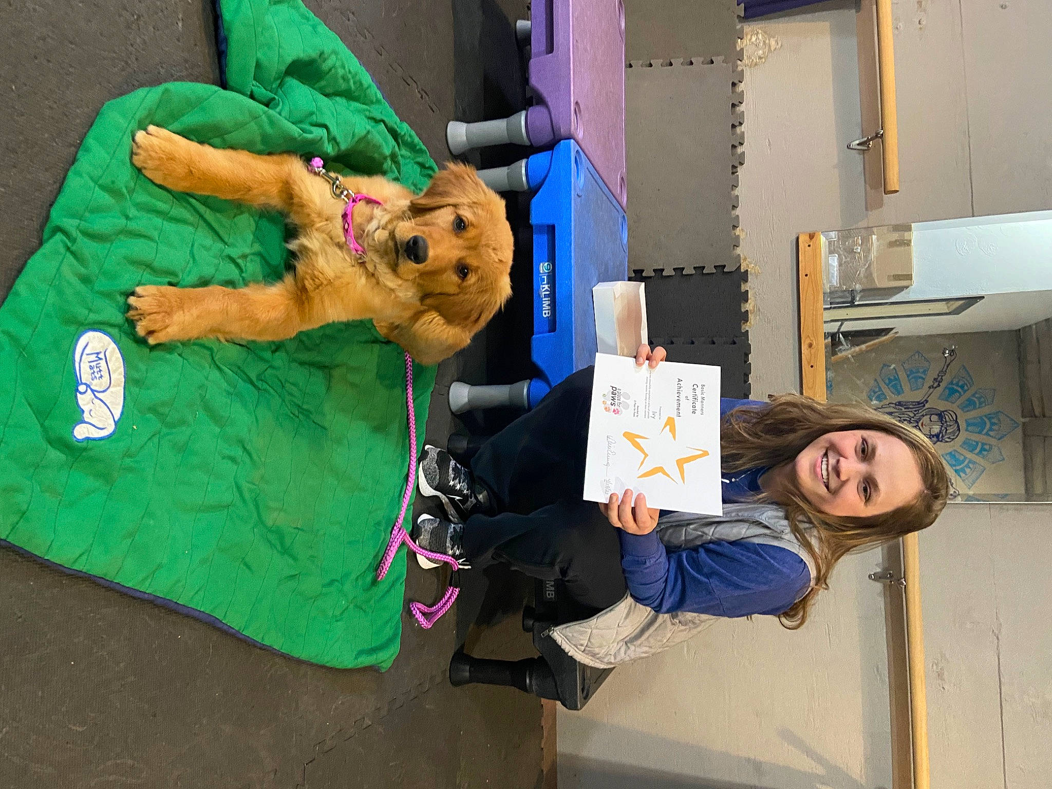 Ivy Lynn joined the competition — help win amazing prizes! building, child, event, fun, fur, hat, plush, room, smile, stuffed_toy, toy, window