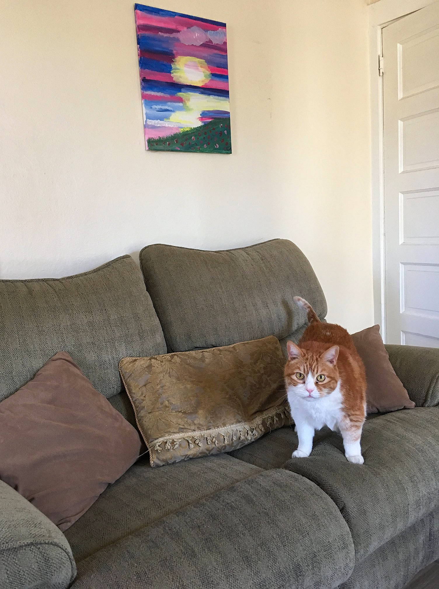 Davey is registered to the contest to win money with this photo: bedding, cat, comfort, couch, cushion, felidae, floor, fur, furniture, home, house, interior_design, living_room, pillow, room, slipcover, small_to_medium_sized_cats, table, textile, wall