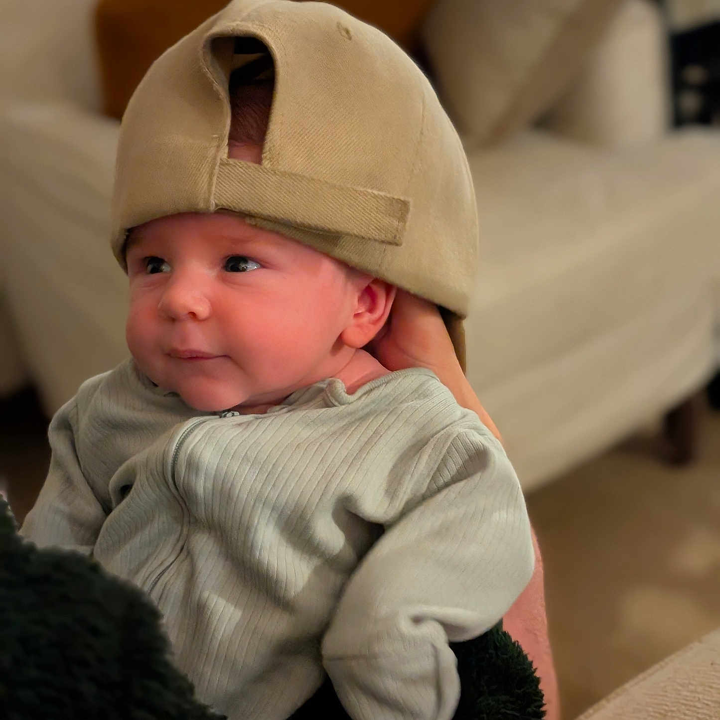 Frederick is registered to the contest to win money with this photo: adult_hand, baby, cap, casual, child, clothing, cozy, cute, furniture, hat, holding, indoor, infant, looking_away, person, portrait, seated, smiling, soft_focus, warm_lighting