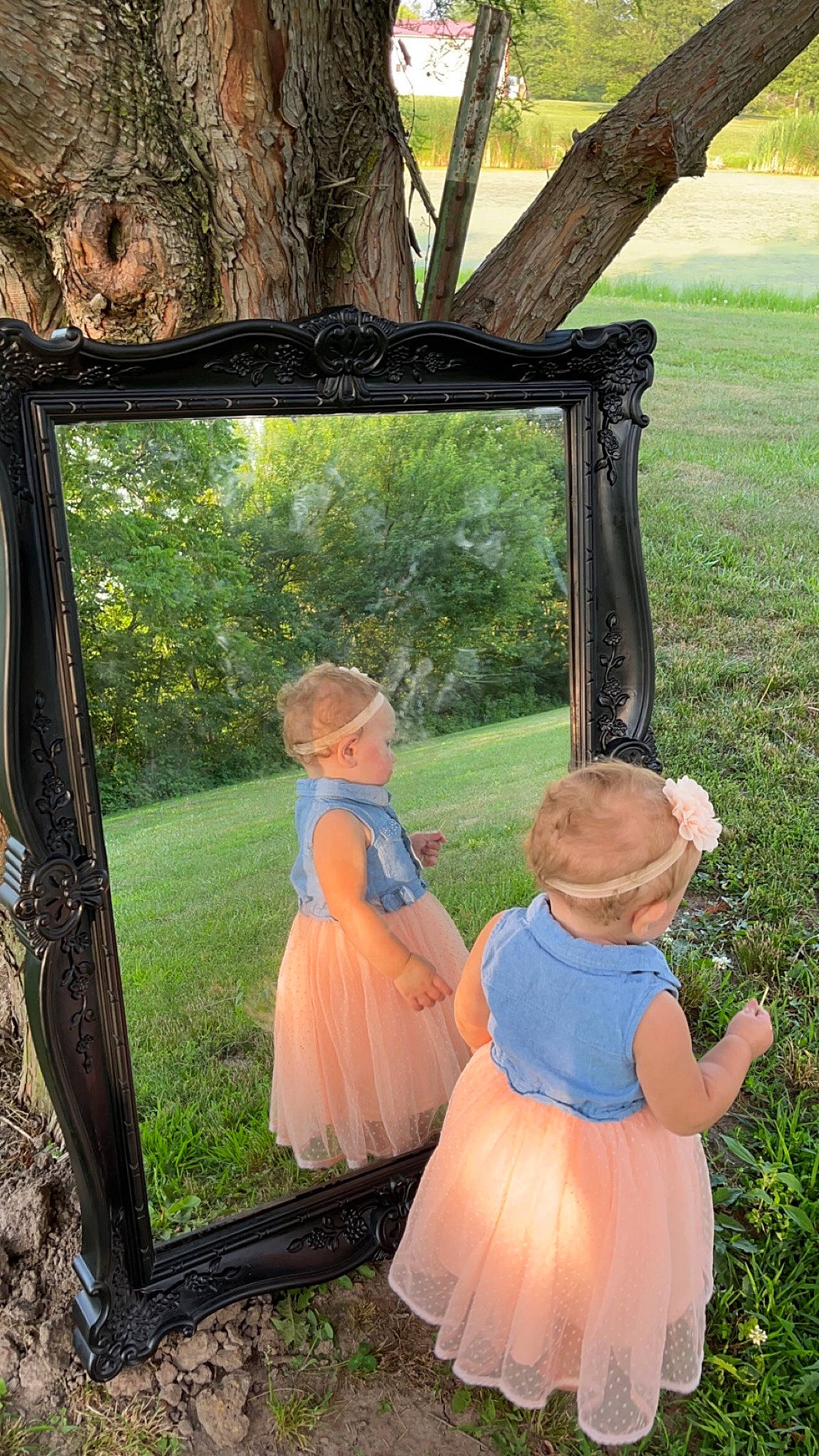 Claire joined the competition — help win amazing prizes! art, botany, child, fun, grass, happy, hat, leaf, leisure, mammal, people_in_nature, person, photograph, picture_frame, plant, recreation, snapshot, standing, toddler, tree