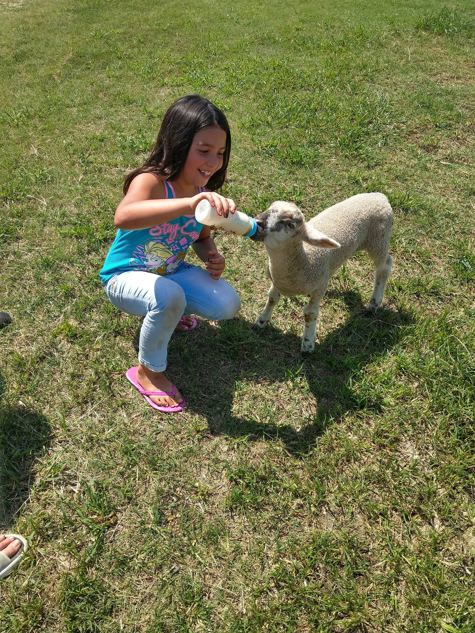 Lilyth is registered to the contest to win money with this photo: canidae, carnivore, child, companion_dog, dog, dog_breed, fawn, grass, joy, lawn, non_sporting_group, person, play, sporting_group, standard_poodle, toddler