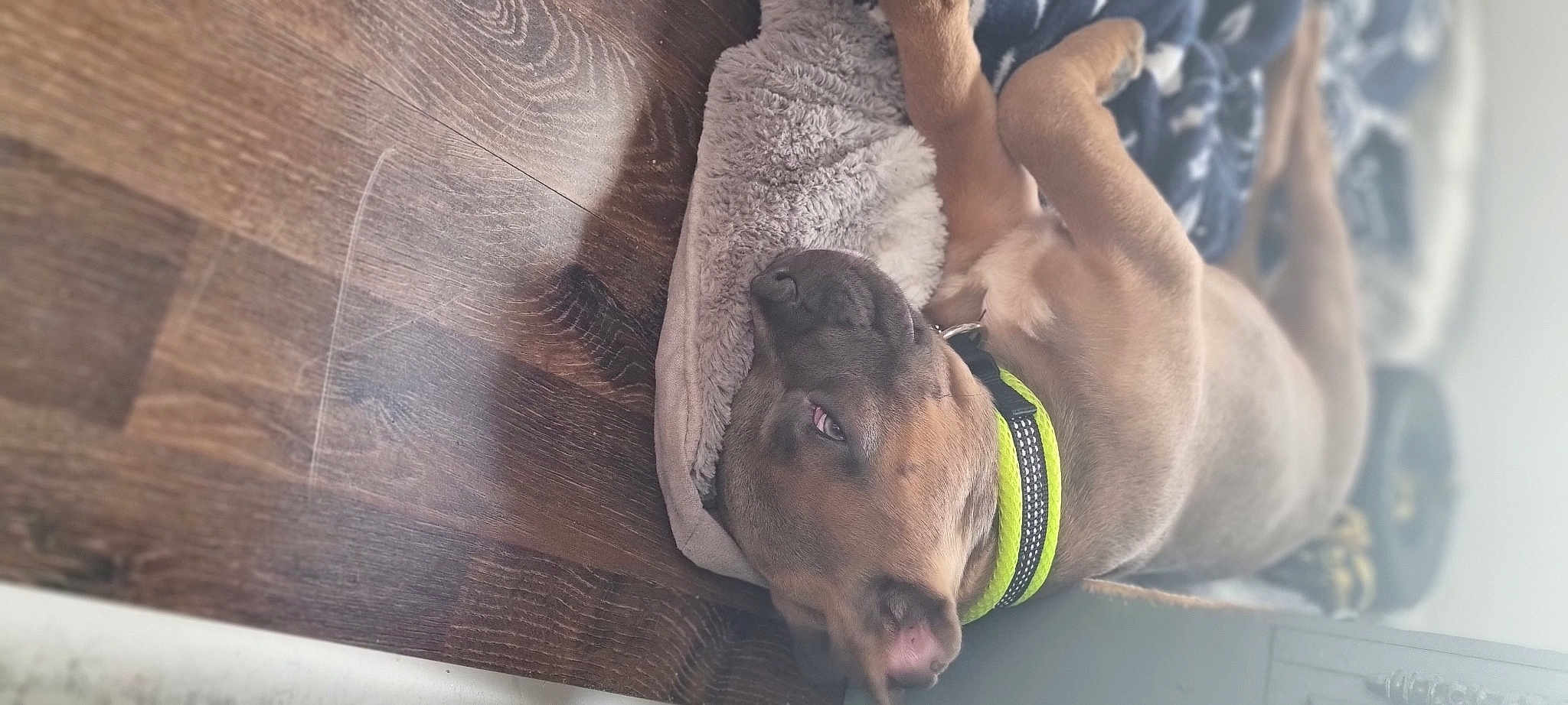 Nala'H