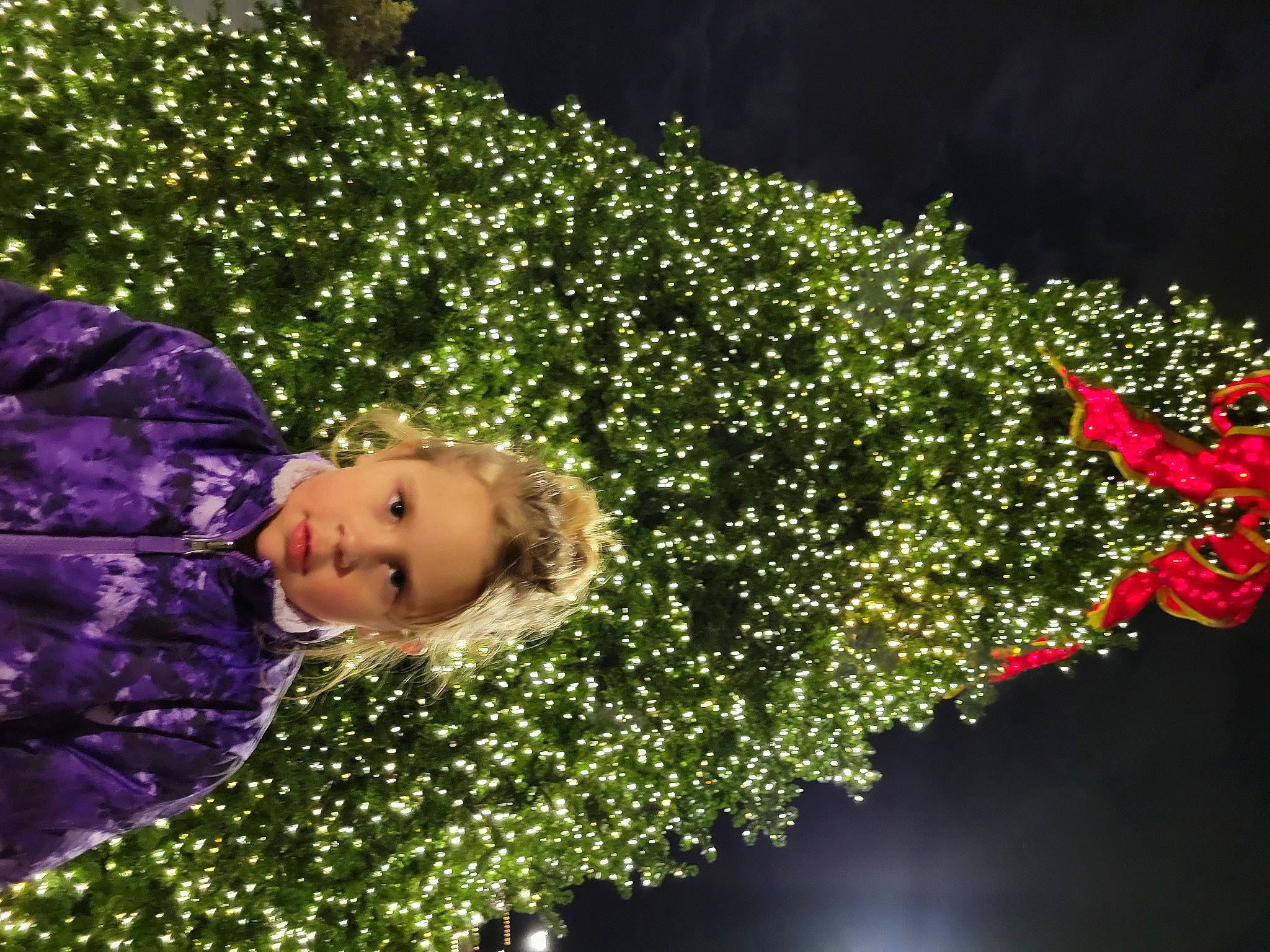 Haven joined the competition — help win amazing prizes! botany, christmas_decoration, christmas_ornament, christmas_tree, electric_blue, event, evergreen, fun, grass, happy, hedge, holiday, light, organism, ornament, people_in_nature, person, plant, shrub, tree