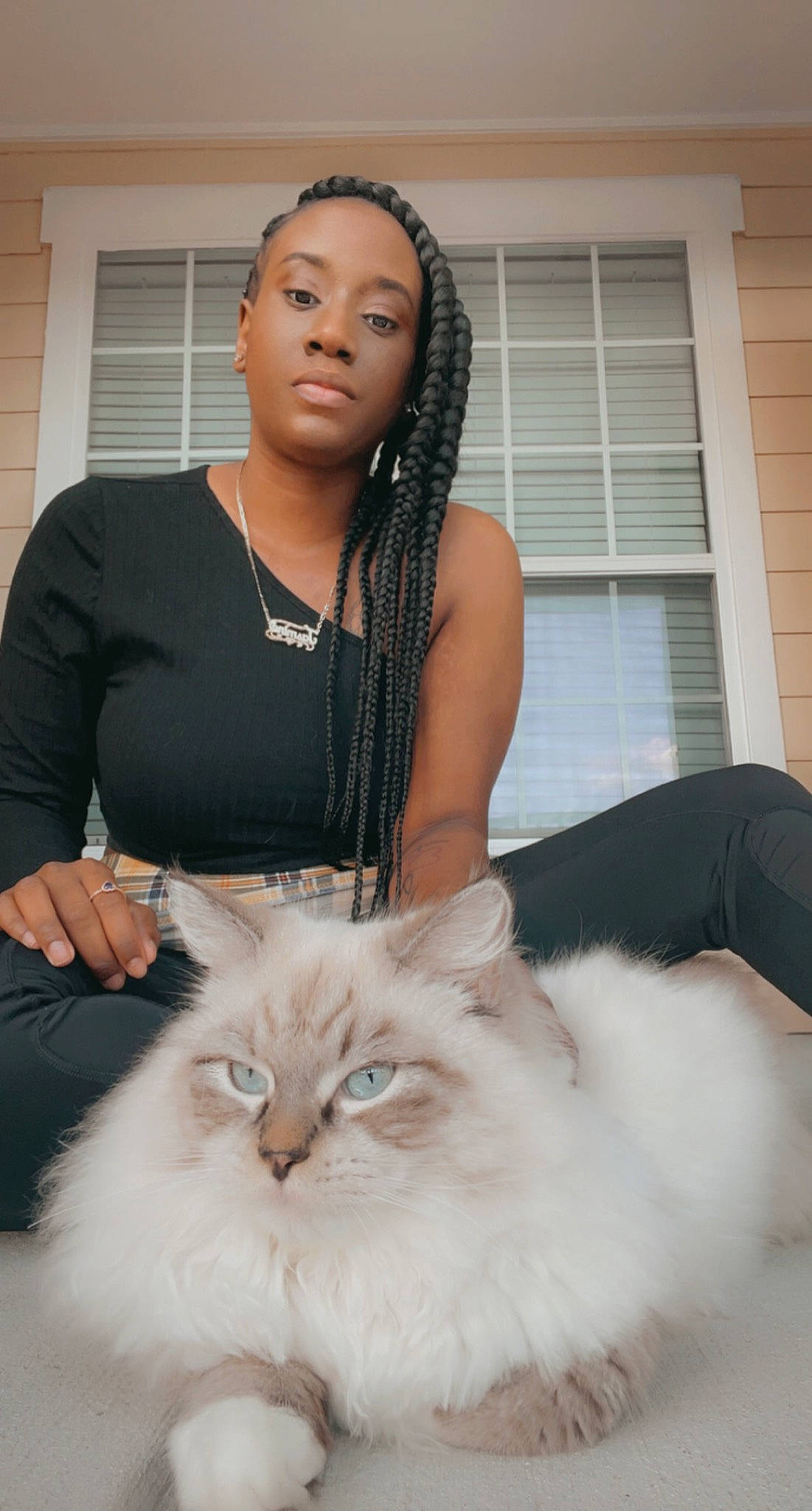 Elijah is registered to the contest to win money with this photo: body_jewelry, british_semi_longhair, carnivore, cat, cornrows, domestic_long_haired_cat, fashion_design, felidae, fur, human, iris, jewellery, mammal, necklace, small_to_medium_sized_cats, trunk, whiskers, window_blind, window_covering, window_treatment