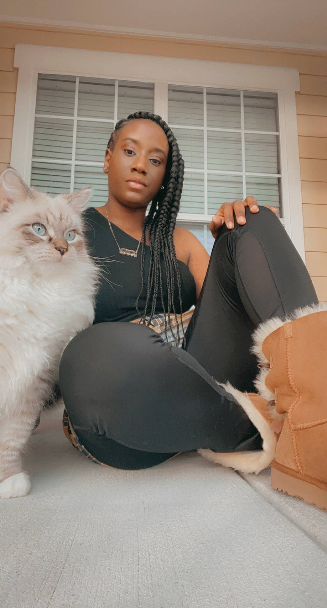 Elijah joined the competition — help win amazing prizes! carnivore, cat, comfort, felidae, foot, fur, knee, mammal, model, photo_shoot, sitting, small_to_medium_sized_cats, thigh, whiskers