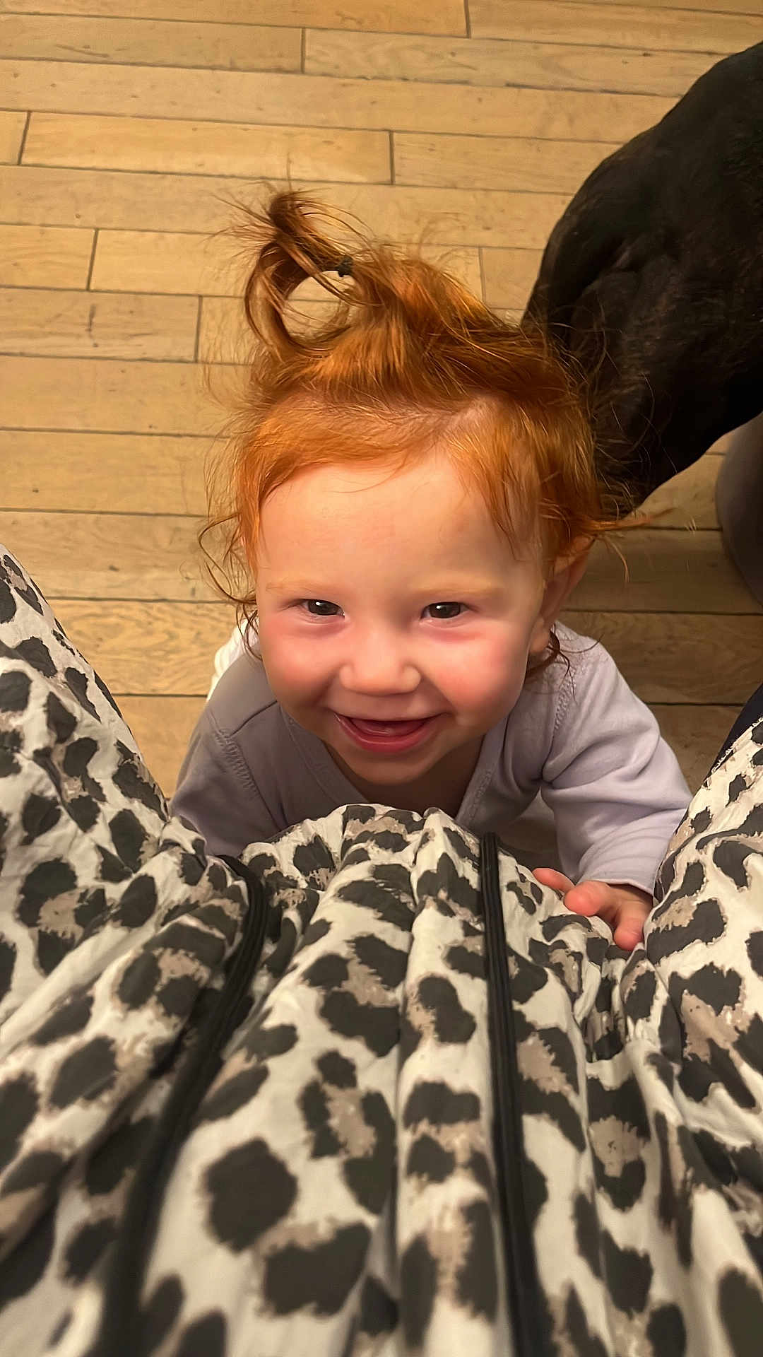 Ethel a rejoint le concours — aidez-le/la à gagner de superbes lots ! child, clothing, cute, dog, face, hair_tie, hand, happy, indoor, leopard_print, looking_up, person, pet, playful, portrait, red_hair, smile, toddler, wood_floor, young_child