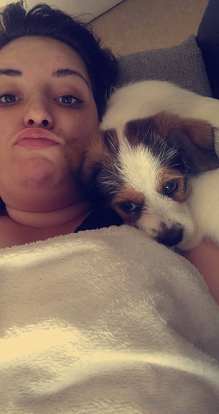 Pacio participe au concours pour gagner de l'argent avec cette photo : canidae, carnivore, companion_dog, dog, dog_breed, eye, love, nose, photography, puppy, puppy_love, selfie, skin, smile