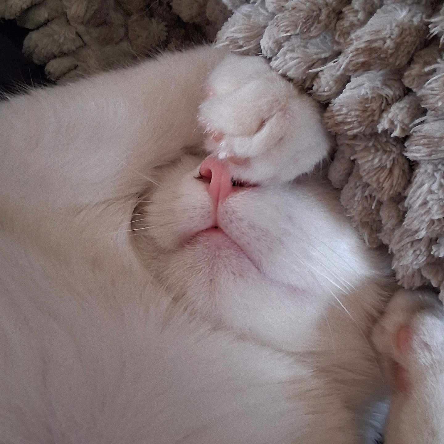Sam