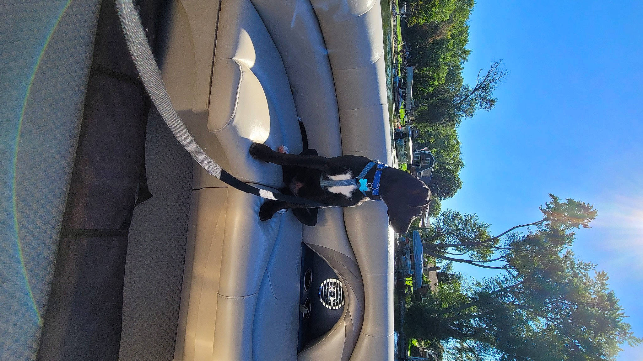 Bently is registered to the contest to win money with this photo: automotive_design, automotive_exterior, automotive_lighting, automotive_mirror, automotive_parking_light, automotive_side_view_mirror, automotive_tire, automotive_wheel_system, car, fender, hood, motor_vehicle, plant, rim, sky, tire, tree, vehicle, vehicle_door, wheel