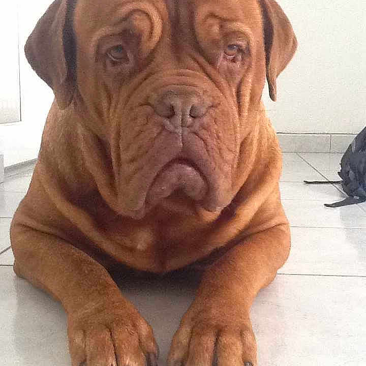 Mimi is registered to the contest to win money with this photo: