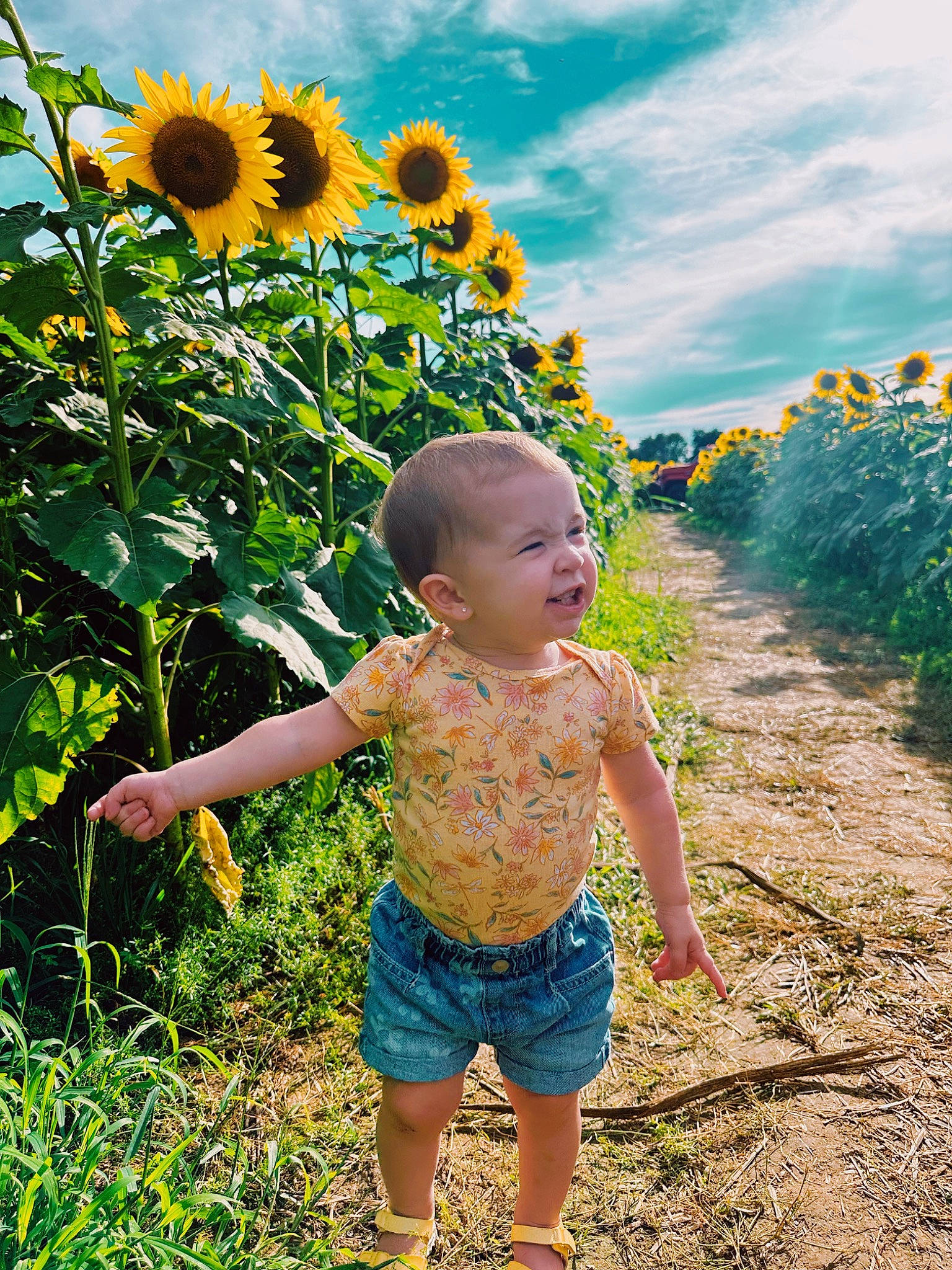 Azalea is registered to the contest to win money with this photo: agriculture, baby_toddler_clothing, botany, cloud, field, flower, grass, grass_family, grassland, happy, landscape, leisure, meadow, people_in_nature, person, petal, plant, sky, sunflower, toddler
