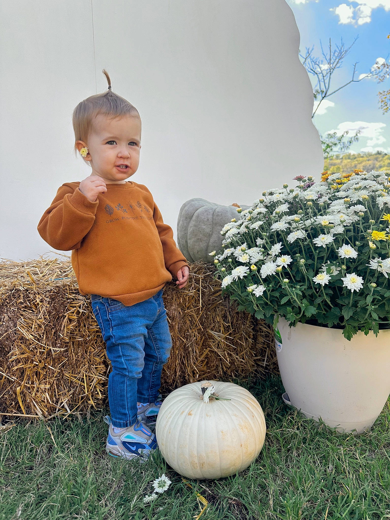 Azalea joined the competition — help win amazing prizes! calabaza, cucurbita, flower, flowerpot, grass, grass_family, happy, houseplant, jeans, landscape, lawn, leaf, people_in_nature, person, plant, pumpkin, shrub, toddler, tree, vegetable
