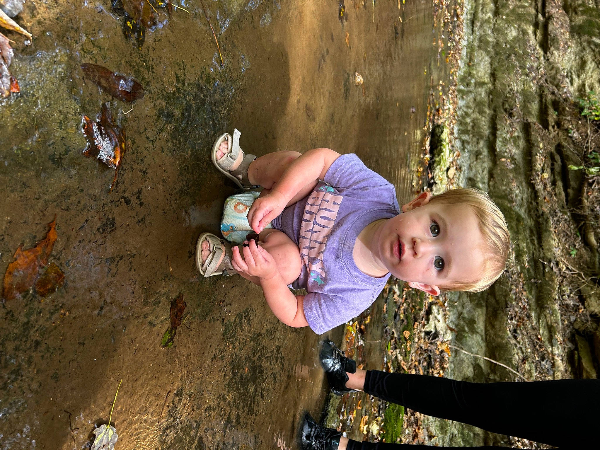 Azalea is registered to the contest to win money with this photo: adventure, baby, child, fun, grass, happy, leisure, people_in_nature, person, play, portrait_photography, recreation, rock, sitting, soil, sport_climbing, toddler, tree, trunk, vacation