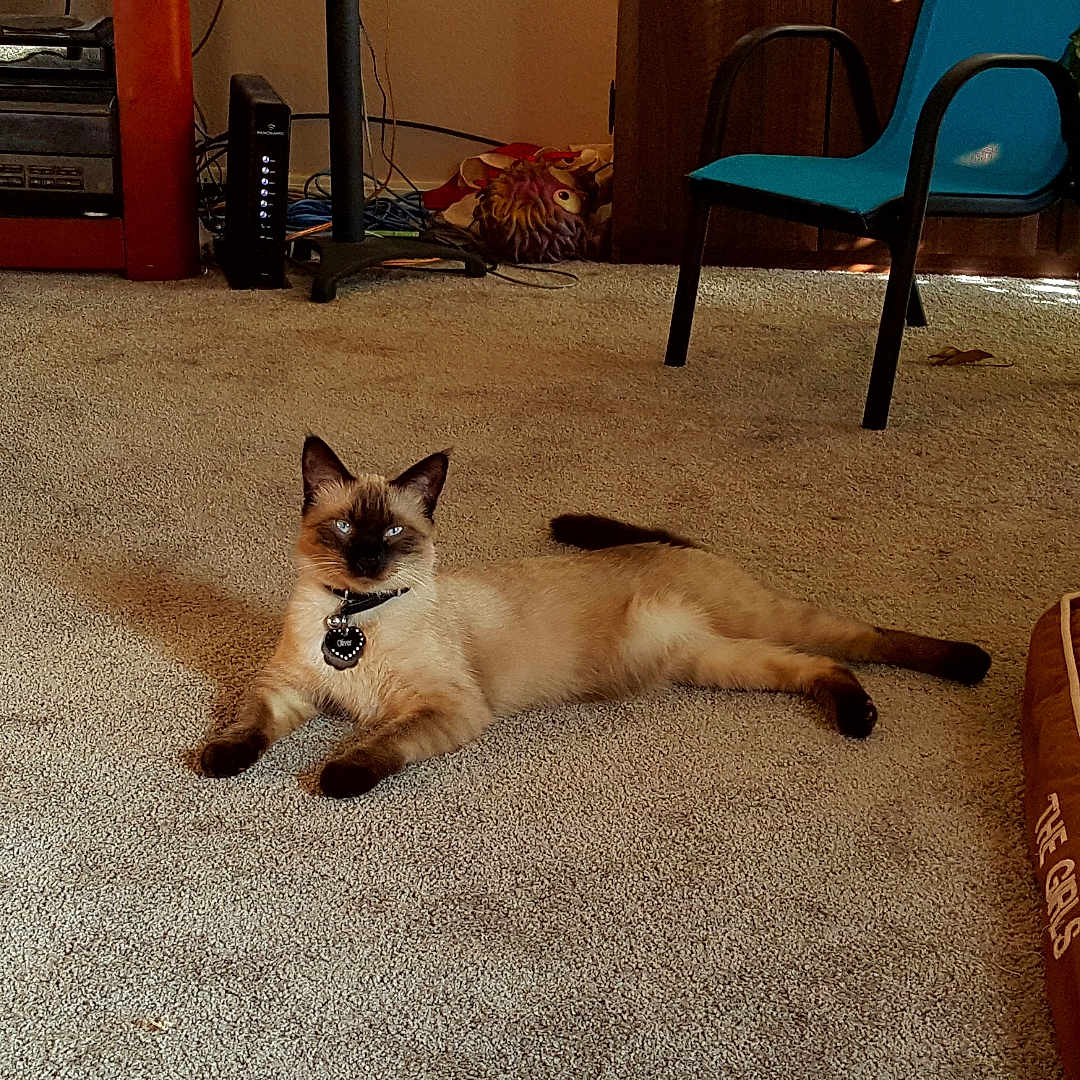 Oliver