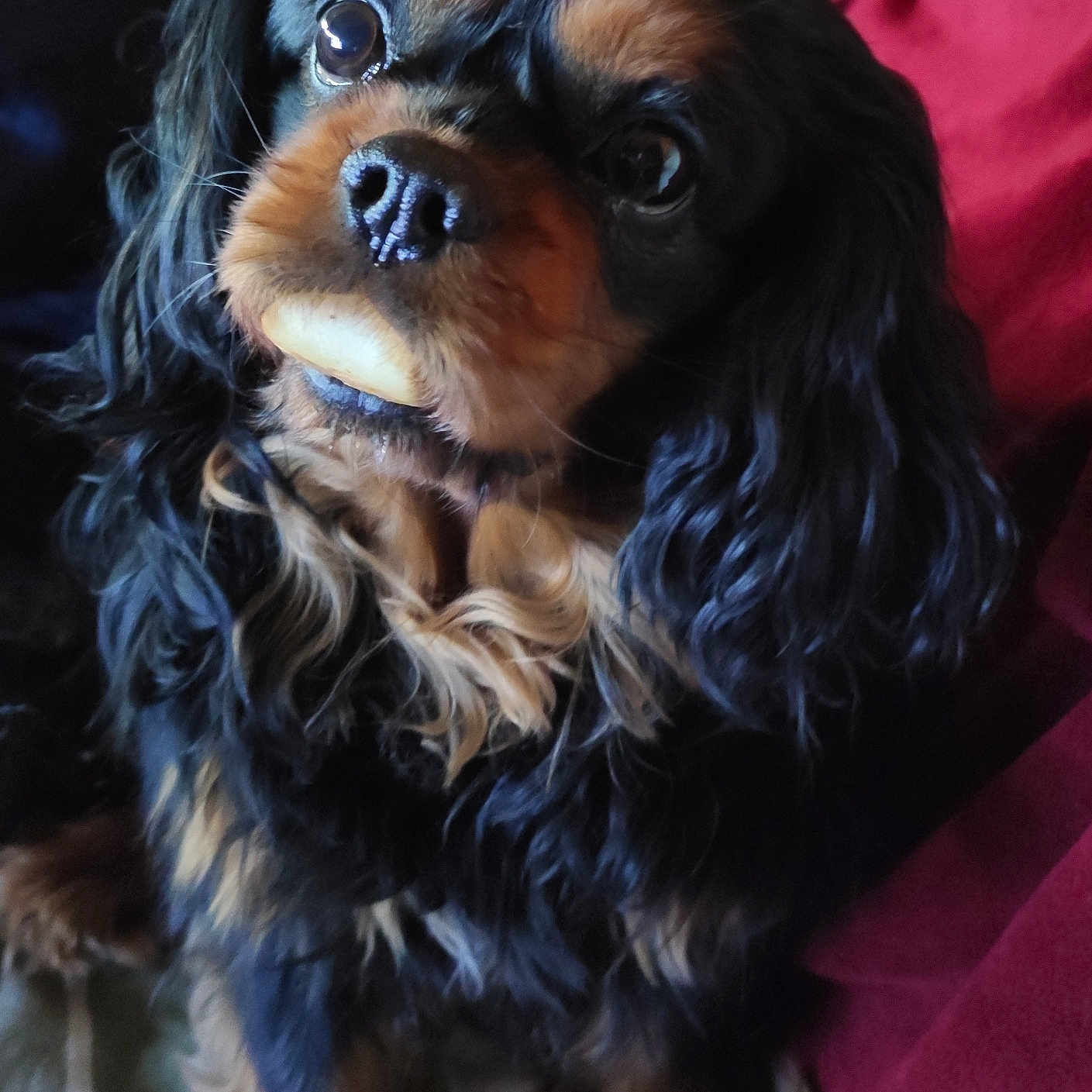 Murphy