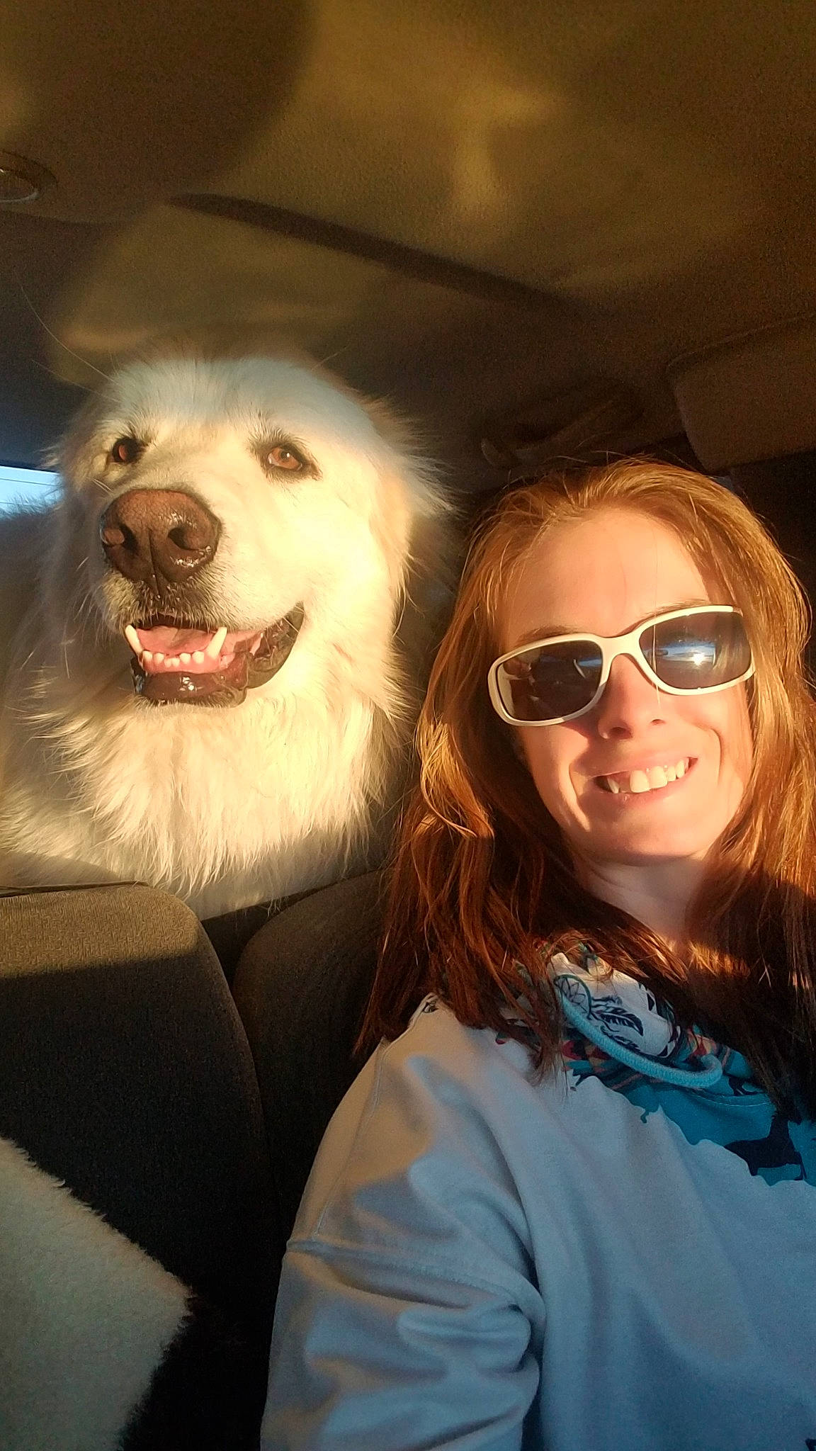 Moose is registered to the contest to win money with this photo: carnivore, companion_dog, dog, dog_breed, eyewear, fang, flash_photography, glasses, goggles, happy, head, jaw, mouth, nose, selfie, smile, snout, sunglasses, vision_care, whiskers