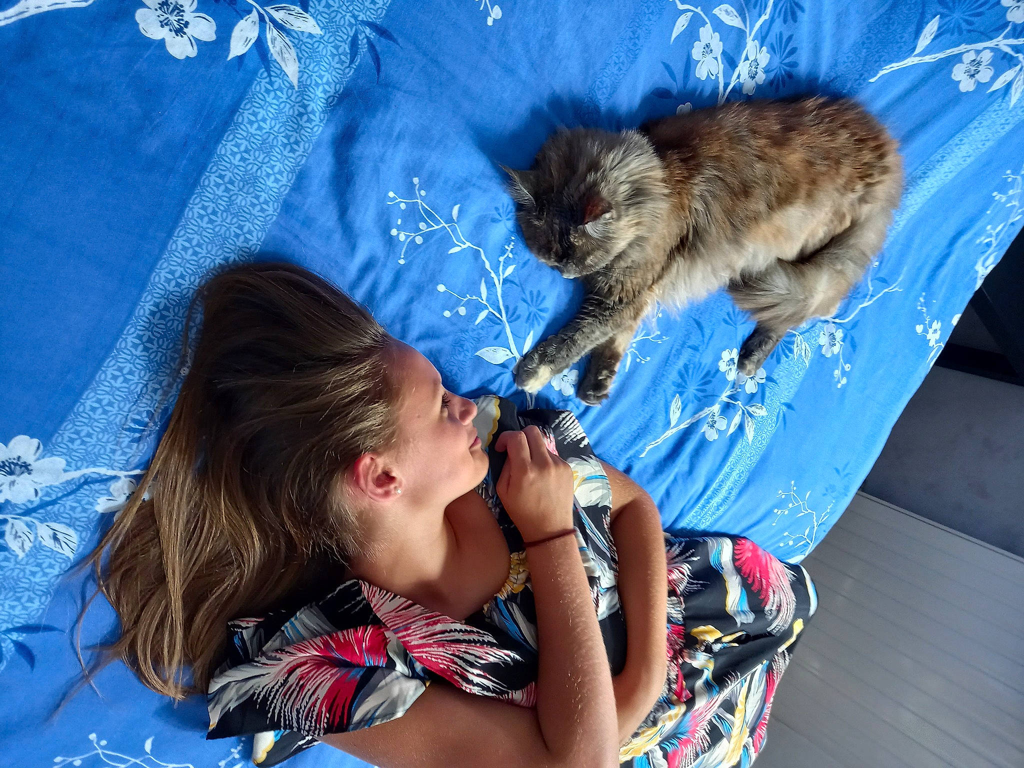 Diva participe au concours pour gagner de l'argent avec cette photo : blue, canidae, carnivore, companion_dog, dog_breed, electric_blue, felidae, fun, fur, happy, jewellery, leisure, paw, recreation, sitting, small_to_medium_sized_cats, t_shirt, tail, toy_dog, whiskers