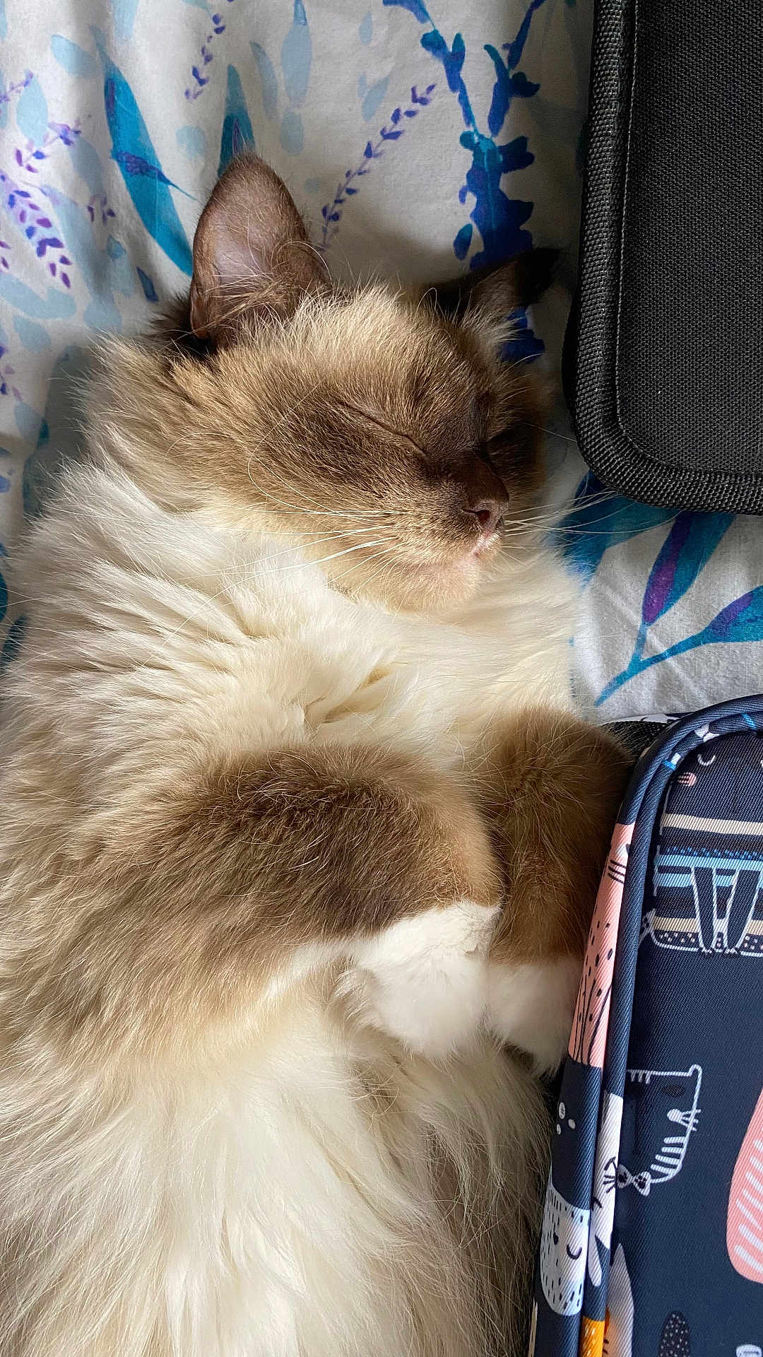 Merlin