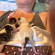 Mickey is registered to the contest to win money with this photo: kitten, newborn, cat, baby_animal, person, tank_top, blanket, polka_dots, tattoo, resting, lying_down, indoor, close_up, furry, pink, white, black, cute, tiny, snuggling