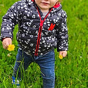 Lyam participe au concours pour gagner de l'argent avec cette photo : bodypart, boy, child, clothing, coat, face, footwear, grass, head, jacket, jeans, lawn, male, pants, person, photography, plant, portrait, shoe, walking
