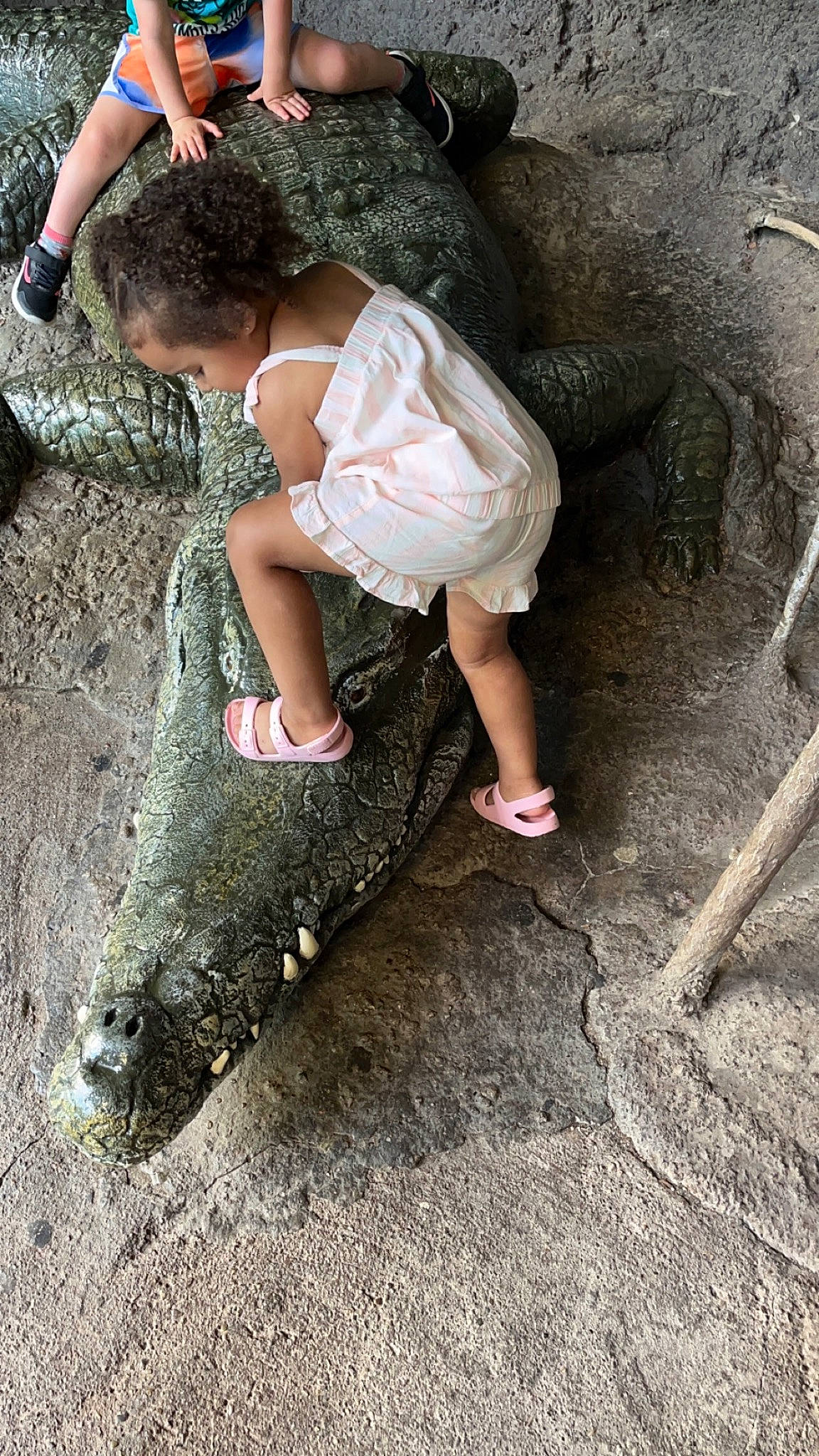 Izzy joined the competition — help win amazing prizes! alligator, american_alligator, american_crocodile, crocodile, fish, foot, fun, grass, human_leg, leg, leisure, person, reptile, rock, saltwater_crocodile, sandal, shoe, shorts, soil, thigh