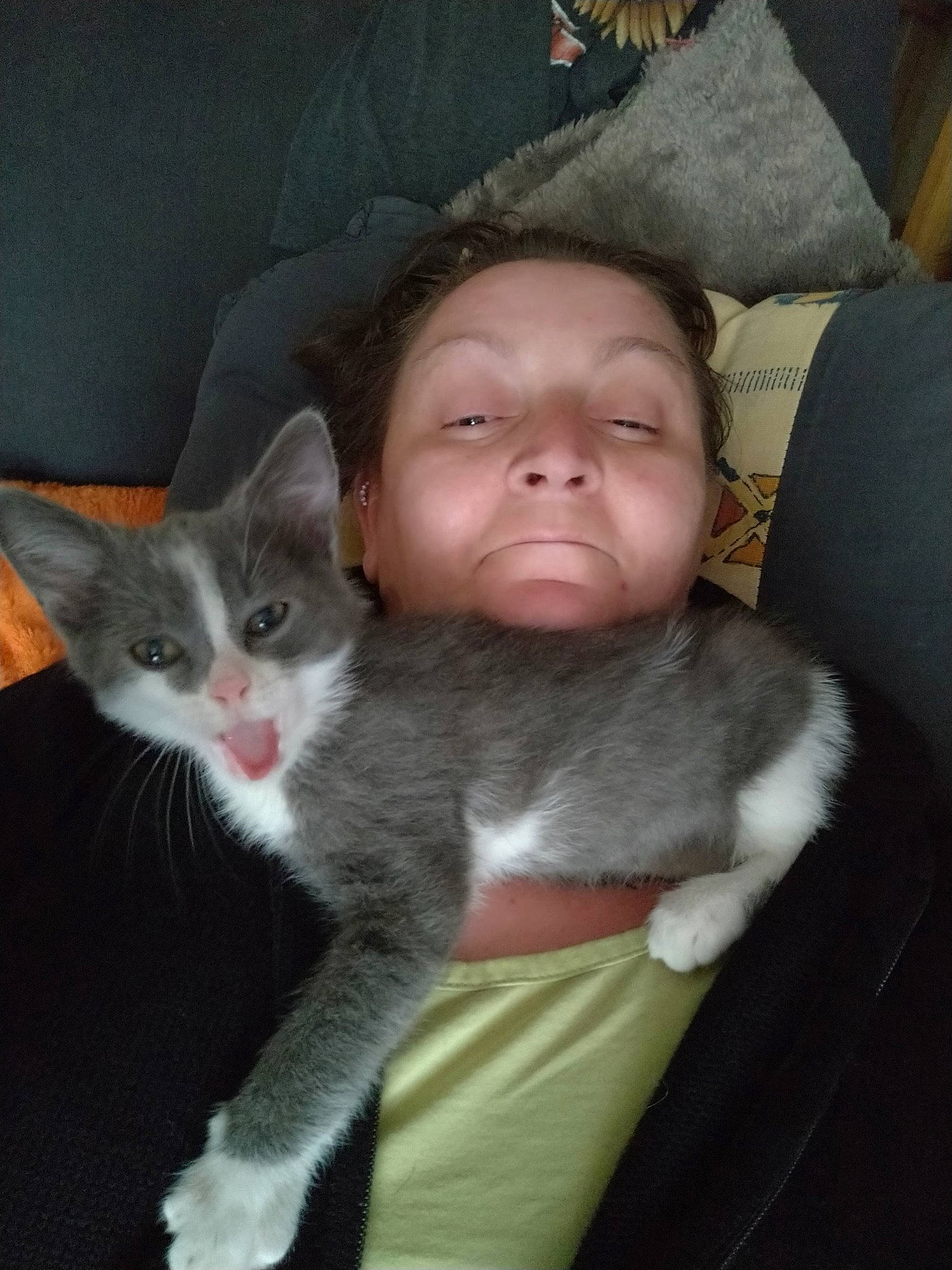 Karma participe au concours pour gagner de l'argent avec cette photo : carnivore, cat, child, comfort, domestic_short_haired_cat, ear, eye, felidae, fur, hat, iris, lap, mammal, paw, sitting, small_to_medium_sized_cats, snout, tail, whiskers