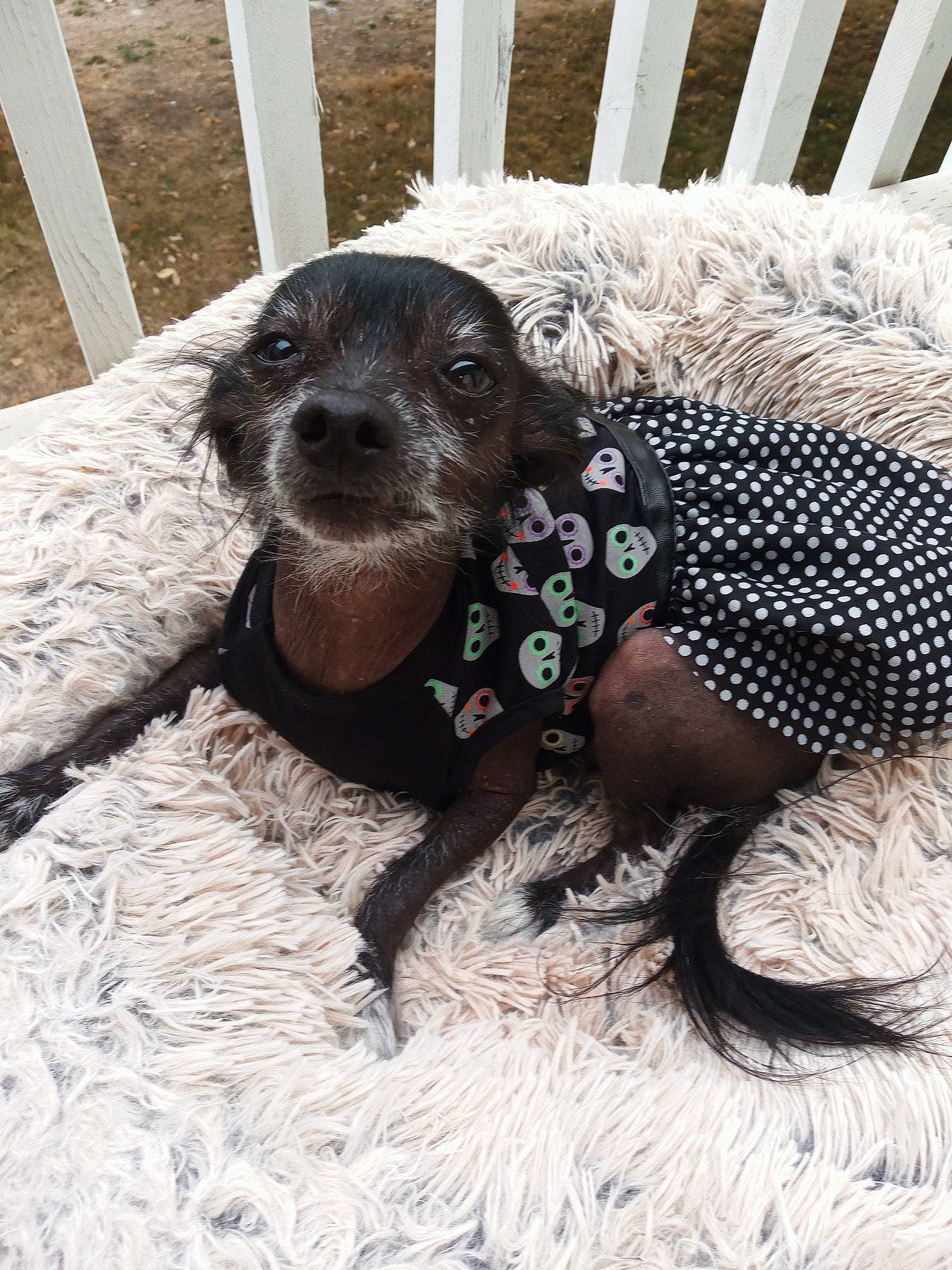 Luna joined the competition — help win amazing prizes!