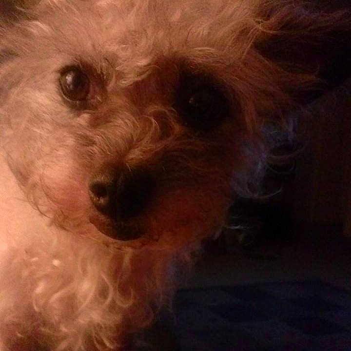 Zoe