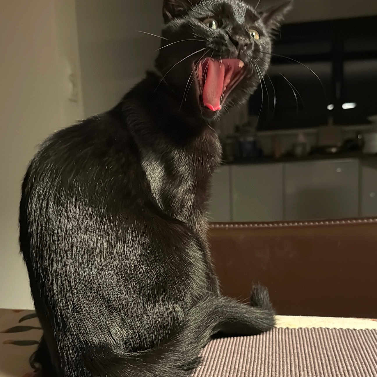 Noiraud