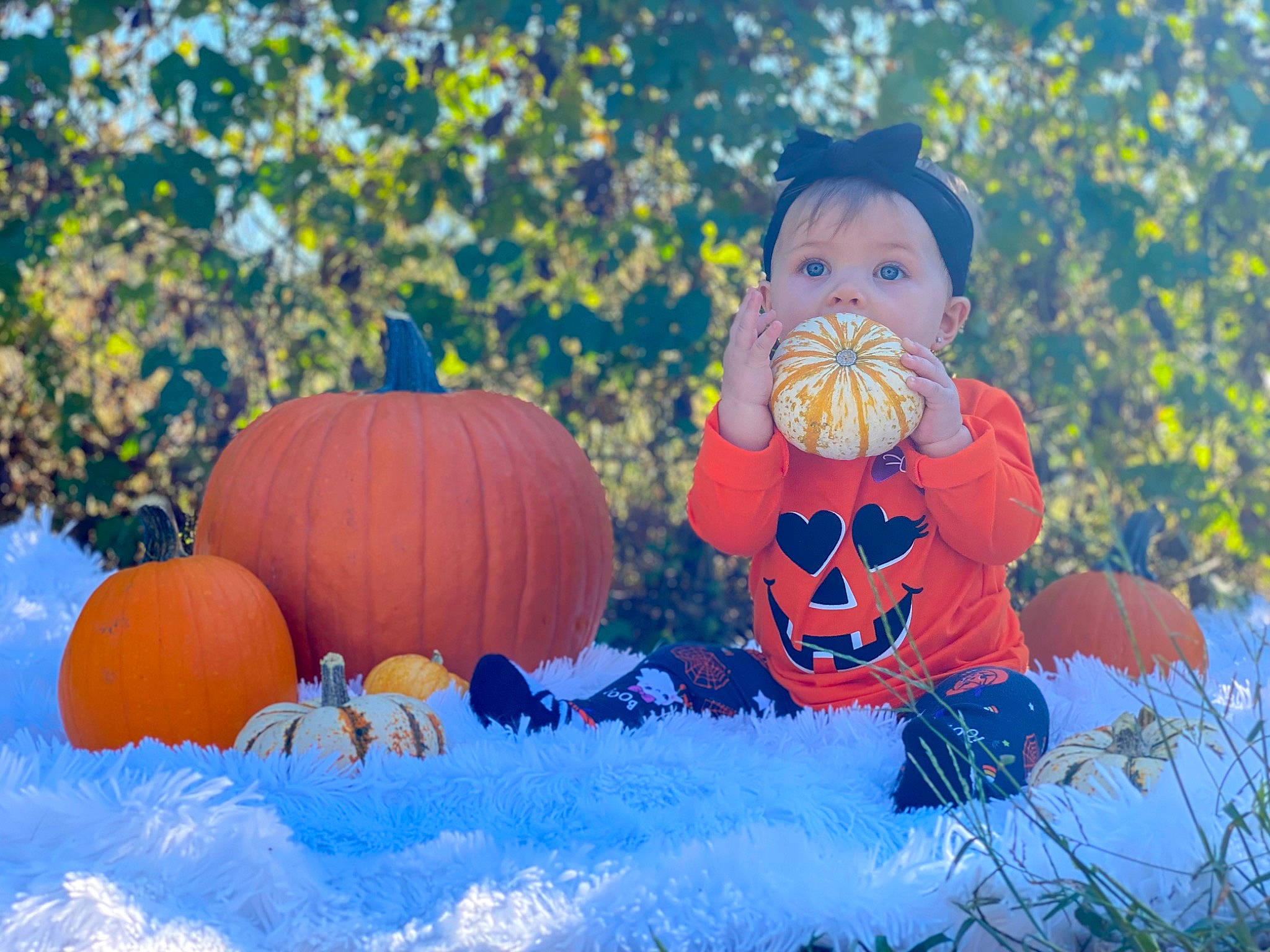 Aliza is registered to the contest to win money with this photo: calabaza, cucurbita, facial_expression, fun, gourd, grass, happy, leaf, leisure, natural_foods, orange, organism, people_in_nature, person, plant, pumpkin, squash, toddler, tree, vegetable