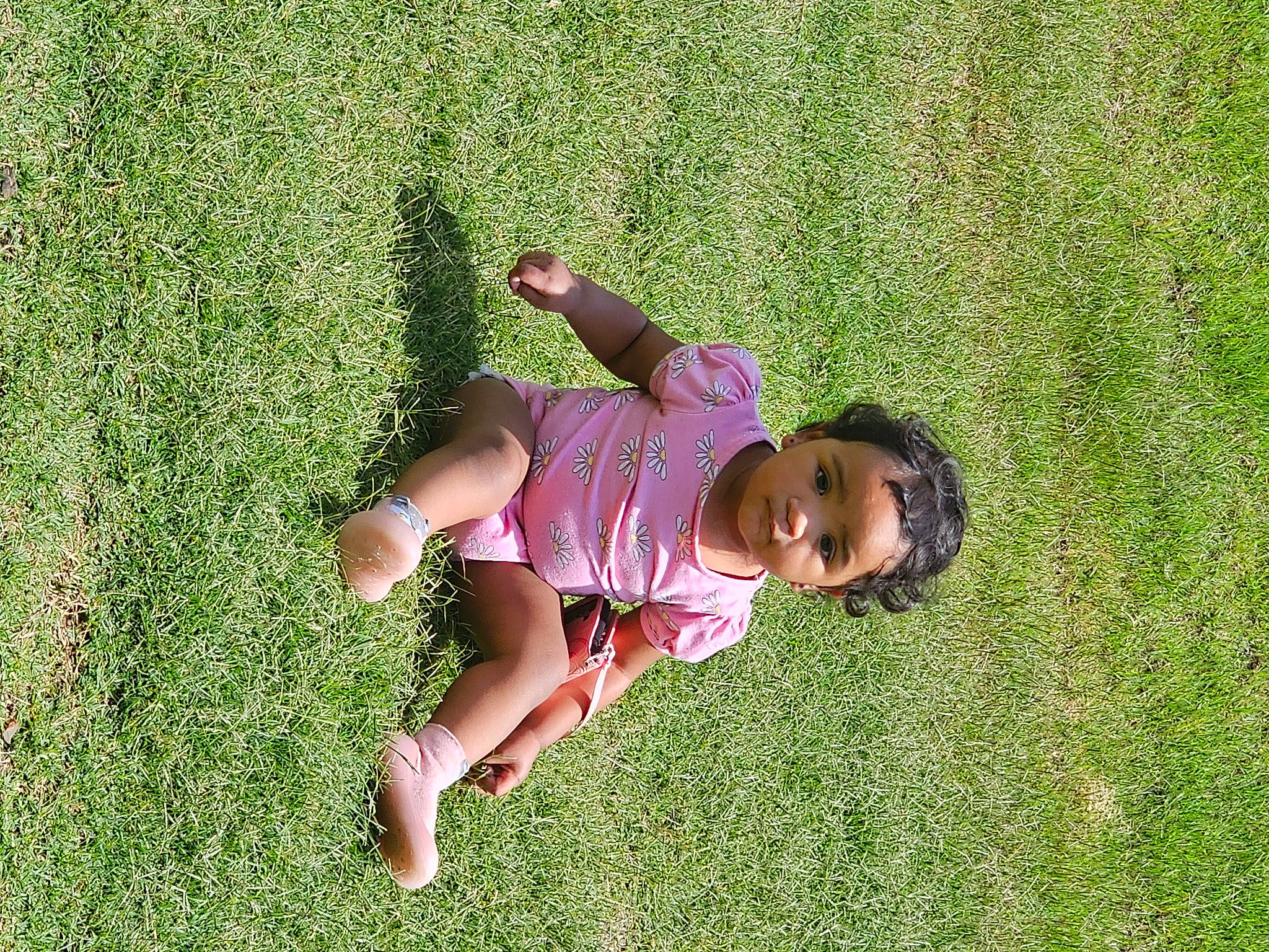 Nevaeh Mae is registered to the contest to win money with this photo: baby, field, fun, grass, grass_family, grassland, groundcover, happy, human_leg, lawn, leg, leisure, meadow, pasture, people_in_nature, person, plant, recreation, shrub, toddler