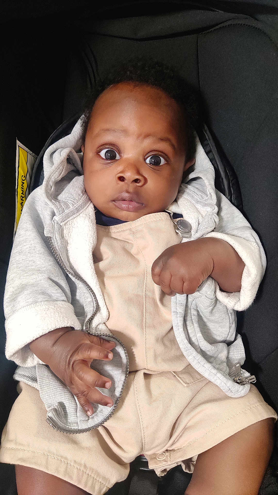 Zaram joined the competition — help win amazing prizes! baby, bodypart, clothing, coat, face, finger, hand, head, hood, hoodie, jacket, knitwear, longsleeve, pants, person, photography, portrait, shorts, sweater, sweatshirt