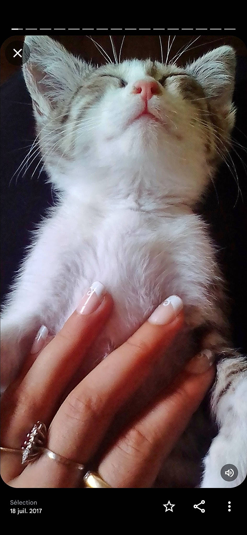 Gribouille participe au concours pour gagner de l'argent avec cette photo : carnivore, cat, claw, close_up, domestic_short_haired_cat, ear, fawn, felidae, finger, fur, gesture, jewellery, nail, paw, photography, small_to_medium_sized_cats, snout, tail, thumb, whiskers