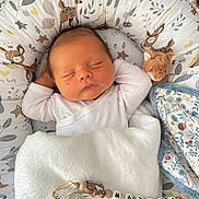 Mathéo participe au concours pour gagner de l'argent avec cette photo : newborn, baby, sleeping, blanket, pacifier, plush_toy, cushion, animal_print, white_clothing, infant, bedtime, cozy, soft_texture, cute, peaceful, rest, indoors, comfort, child, nap