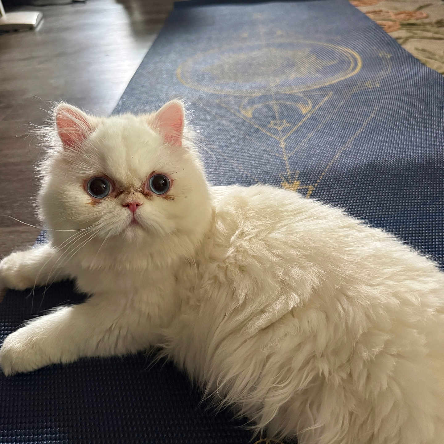 Ms. Bigglesworth