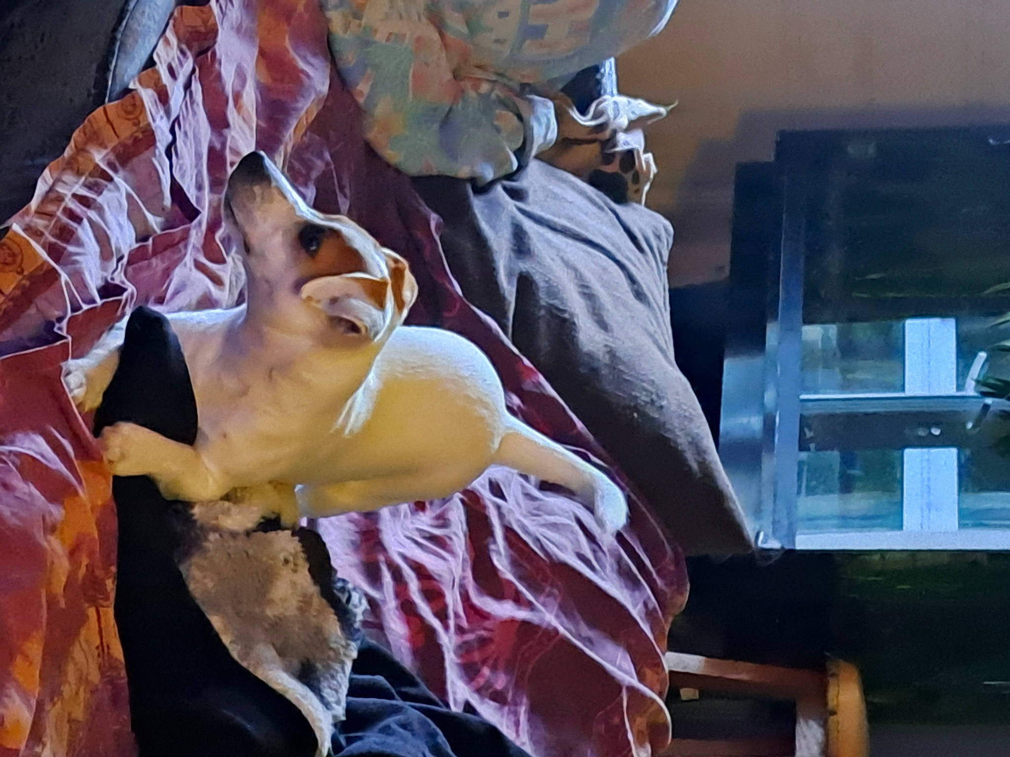 Uma participe au concours pour gagner de l'argent avec cette photo : comfort, event, eyewear, flesh, fun, hat, human_leg, knee, leg, linens, thigh