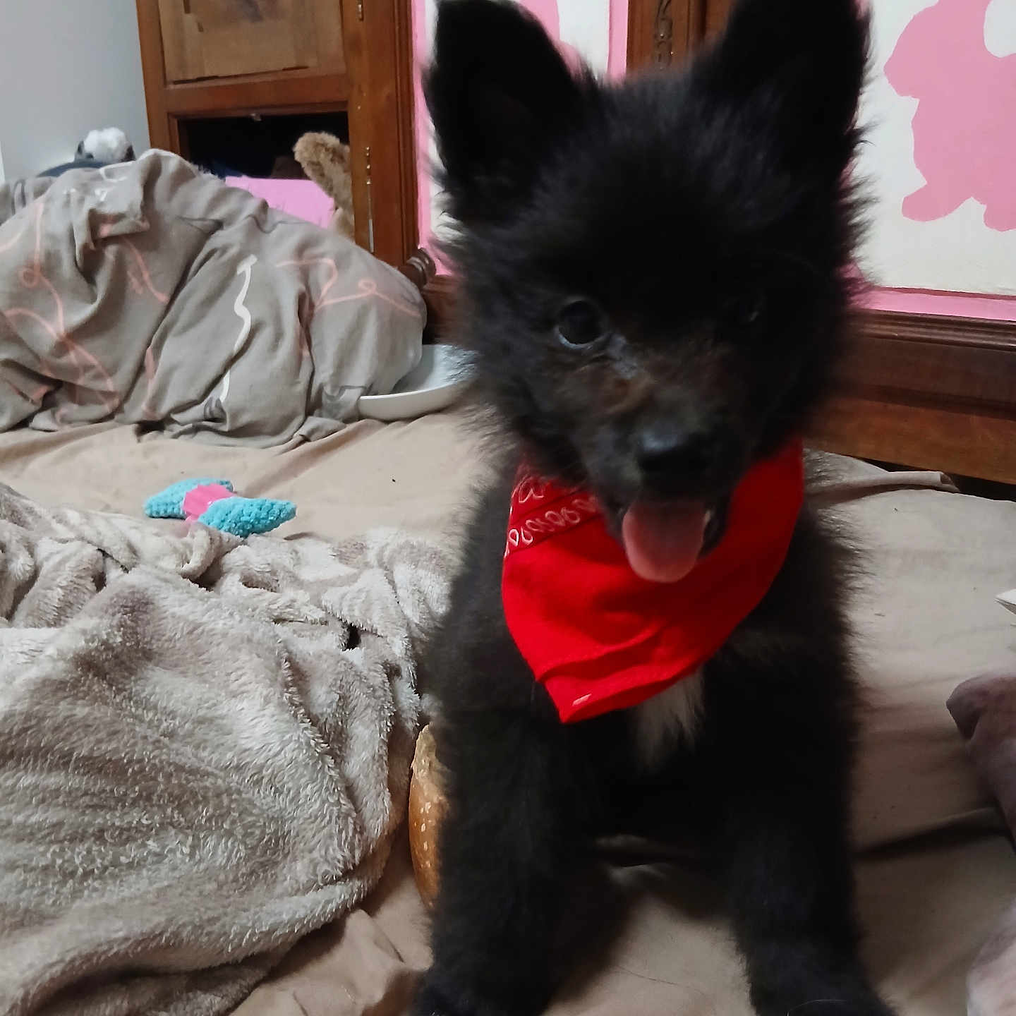 Sirius