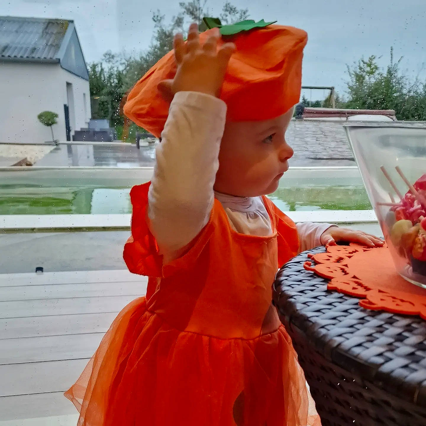 Emmy participe au concours pour gagner de l'argent avec cette photo : baby, child, costume, event, fruit, fun, hat, headwear, leisure, orange, peach, person, personal_protective_equipment, plant, plate, sky, table, tableware, toddler, travel