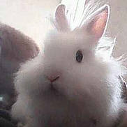 Barth a rejoint le concours — aidez-le/la à gagner de superbes lots !