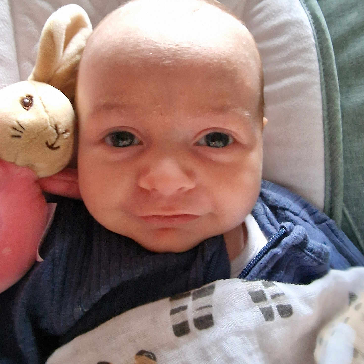 Oliver joined the competition — help win amazing prizes! baby, blanket, blue_clothing, bunny, child, closeup, comfort, cozy, cute, expression, face, indoor, infant, person, plush_toy, portrait, snuggle, soft_toy, toddler, young_child