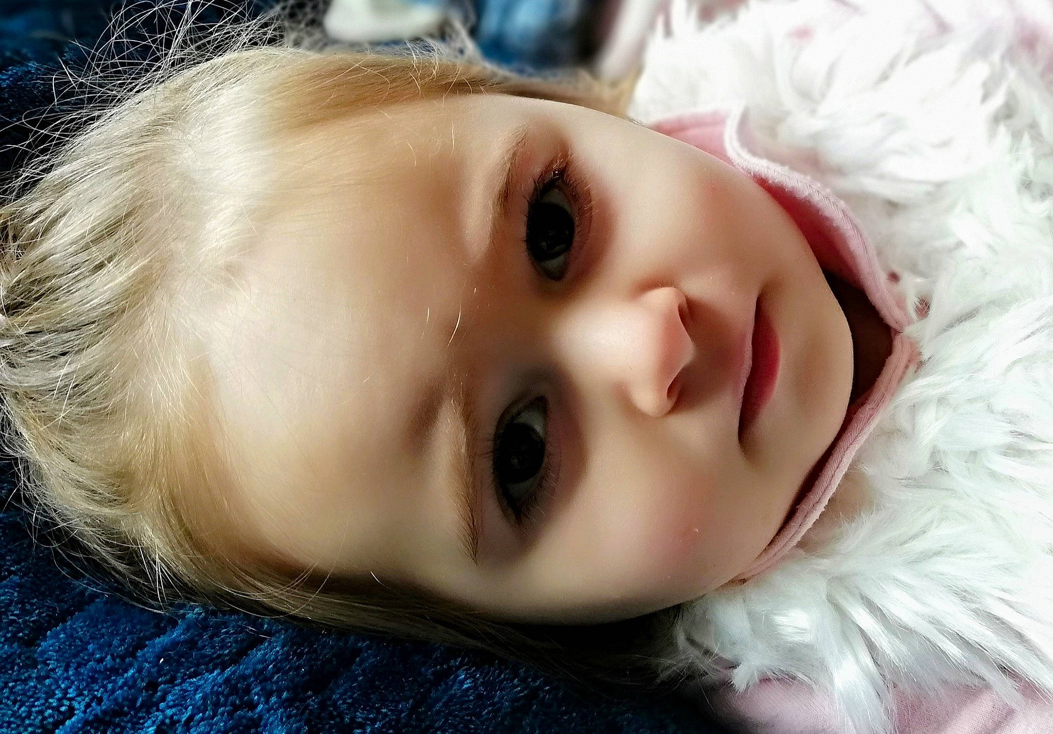 Annah-më participe au concours pour gagner de l'argent avec cette photo : animal_product, baby, blond, cheek, child, close_up, doll, eyebrow, eyelash, fur, iris, lip, natural_material, person, photography, portrait_photography, toddler, toy