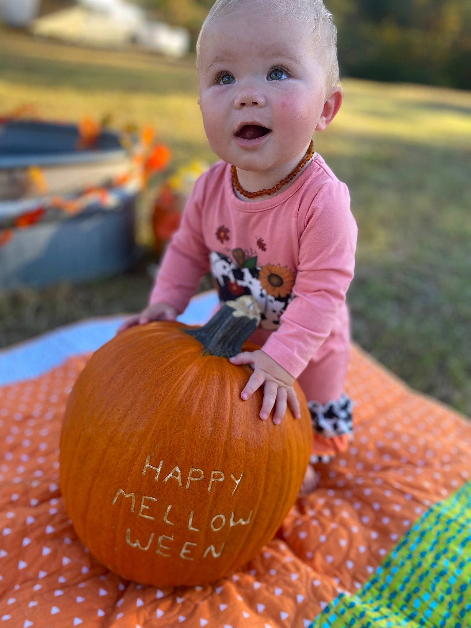 Melody is registered to the contest to win money with this photo: baby, baby_toddler_clothing, calabaza, child, cucurbita, eye, gourd, grass, happy, head, natural_foods, orange, people_in_nature, person, plant, pumpkin, smile, squash, surprise, toddler