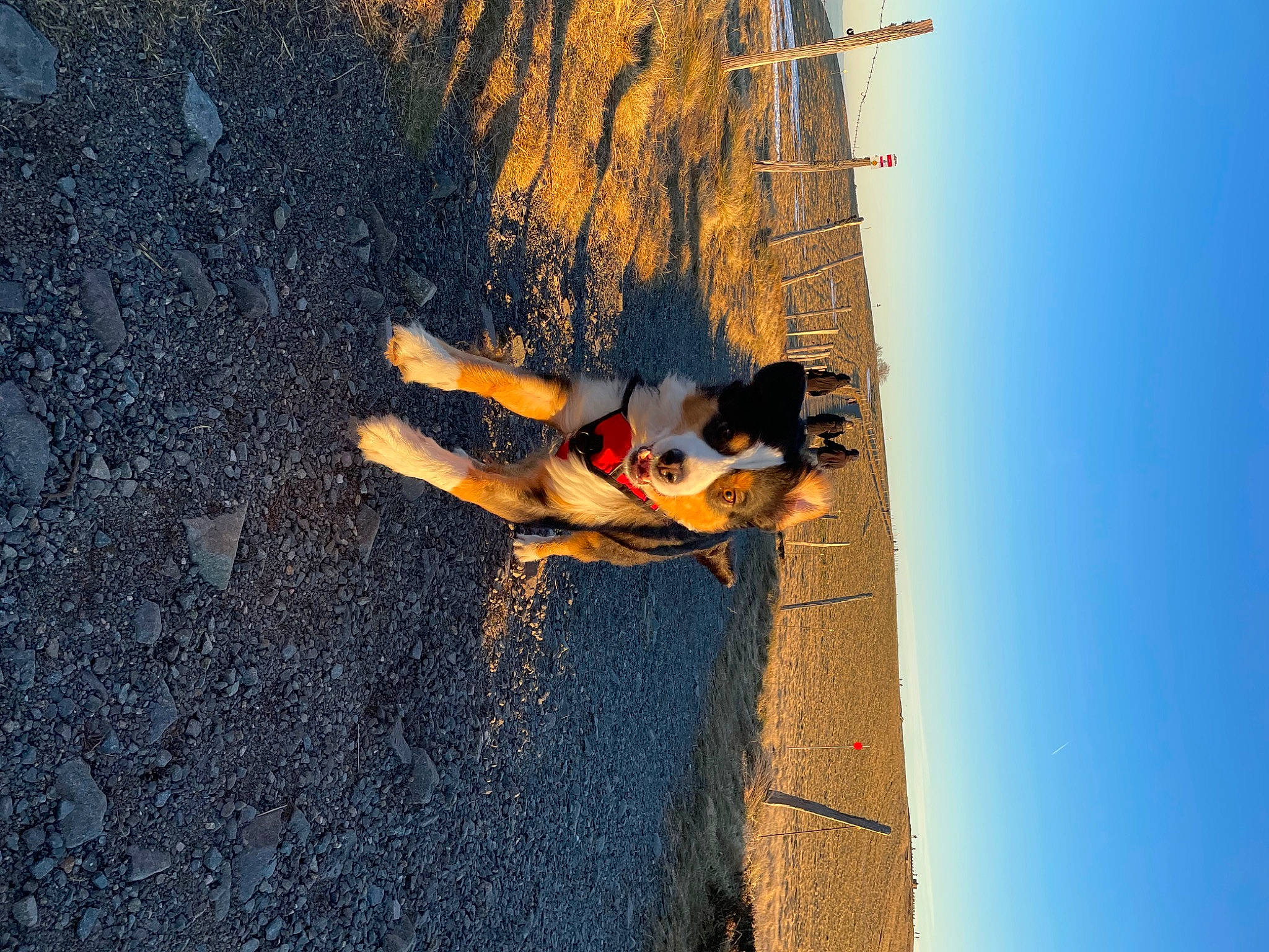 Patton participe au concours pour gagner de l'argent avec cette photo : adventure, asphalt, elbow, extreme_sport, happy, human_body, human_leg, landscape, leg, leisure, people_in_nature, recreation, shadow, sky, slope, sport_climbing, swimwear, thigh, tree, wood