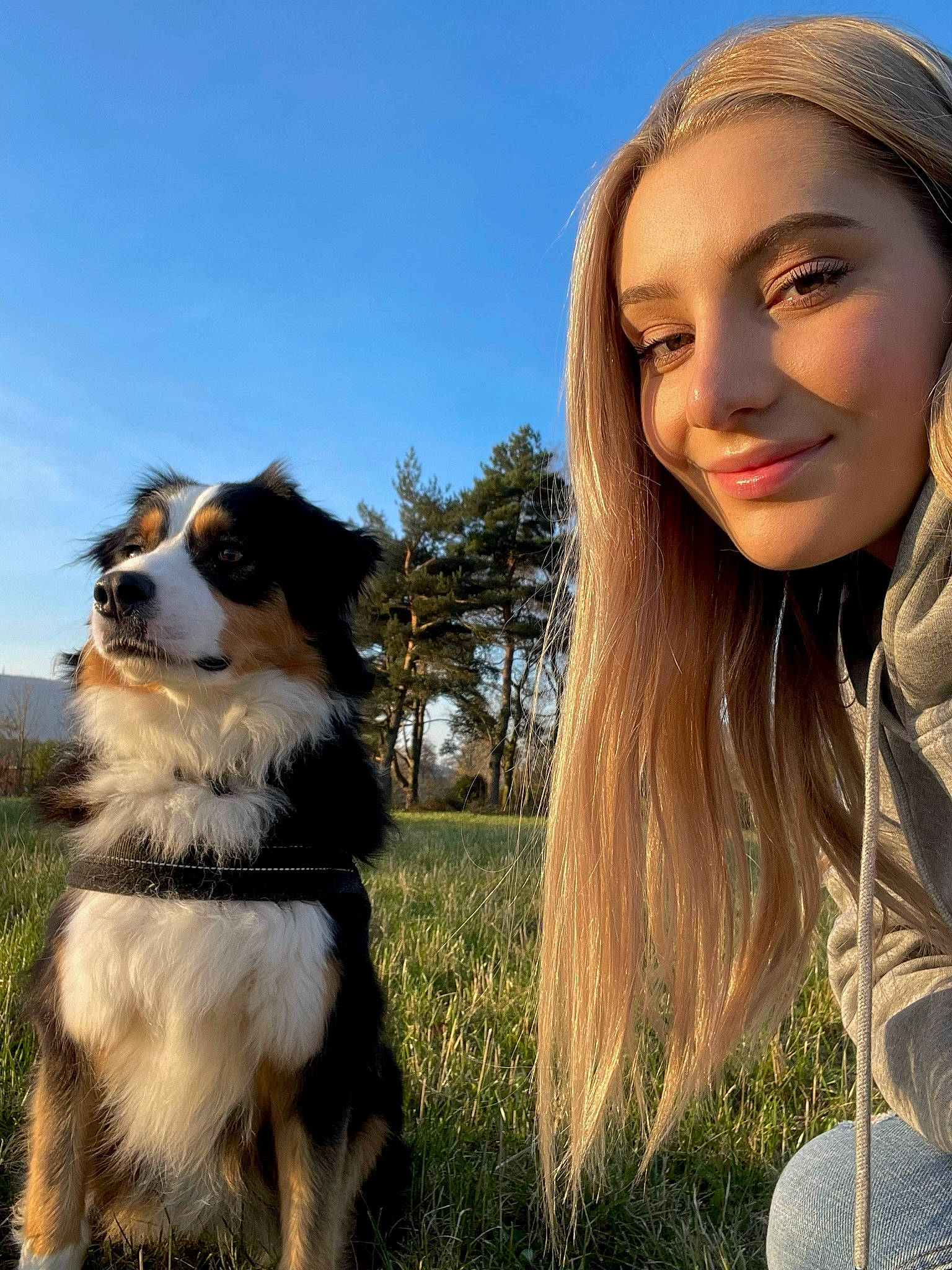 Patton a rejoint le concours — aidez-le/la à gagner de superbes lots ! blond, border_collie, brown_hair, carnivore, companion_dog, dog, dog_breed, flash_photography, grass, grassland, happy, head, herding_dog, people_in_nature, plant, sky, smile, sporting_group, travel, tree